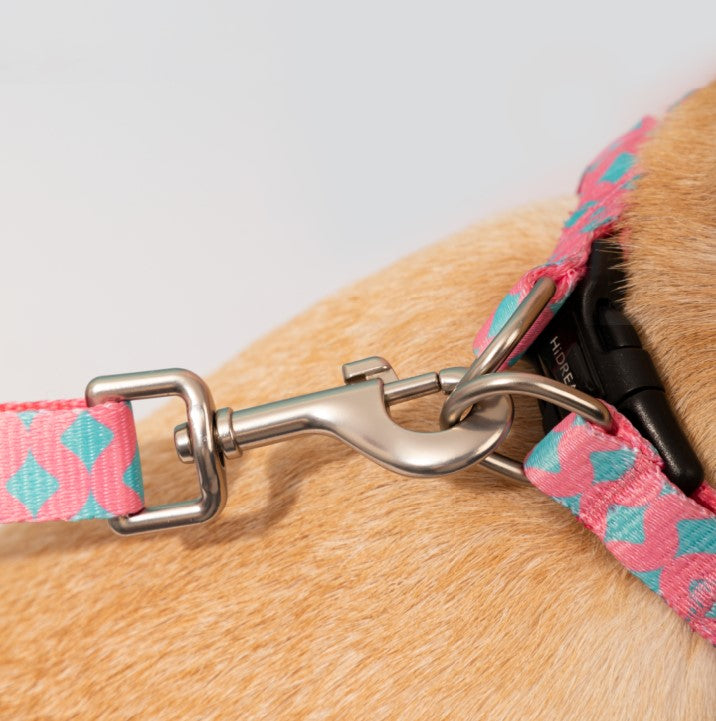 Colorful Series Y-Shaped Harness [Bobby]