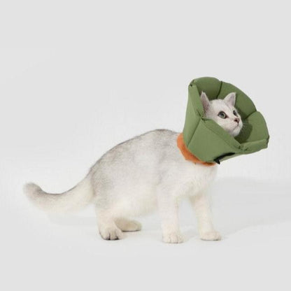 Soft Tapered Elizabethan Rings Dog & Cat Recovery Collar [Matcha Green]