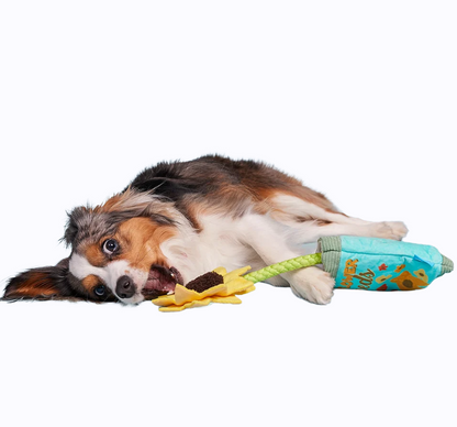 🌻Funflower Seeds Tug Toy