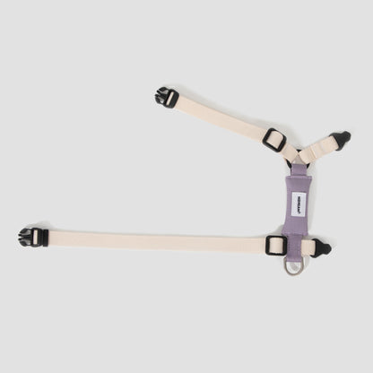 Valley Series Cat H-Shape Harness and Leash Set [Milk Brown with Purple]