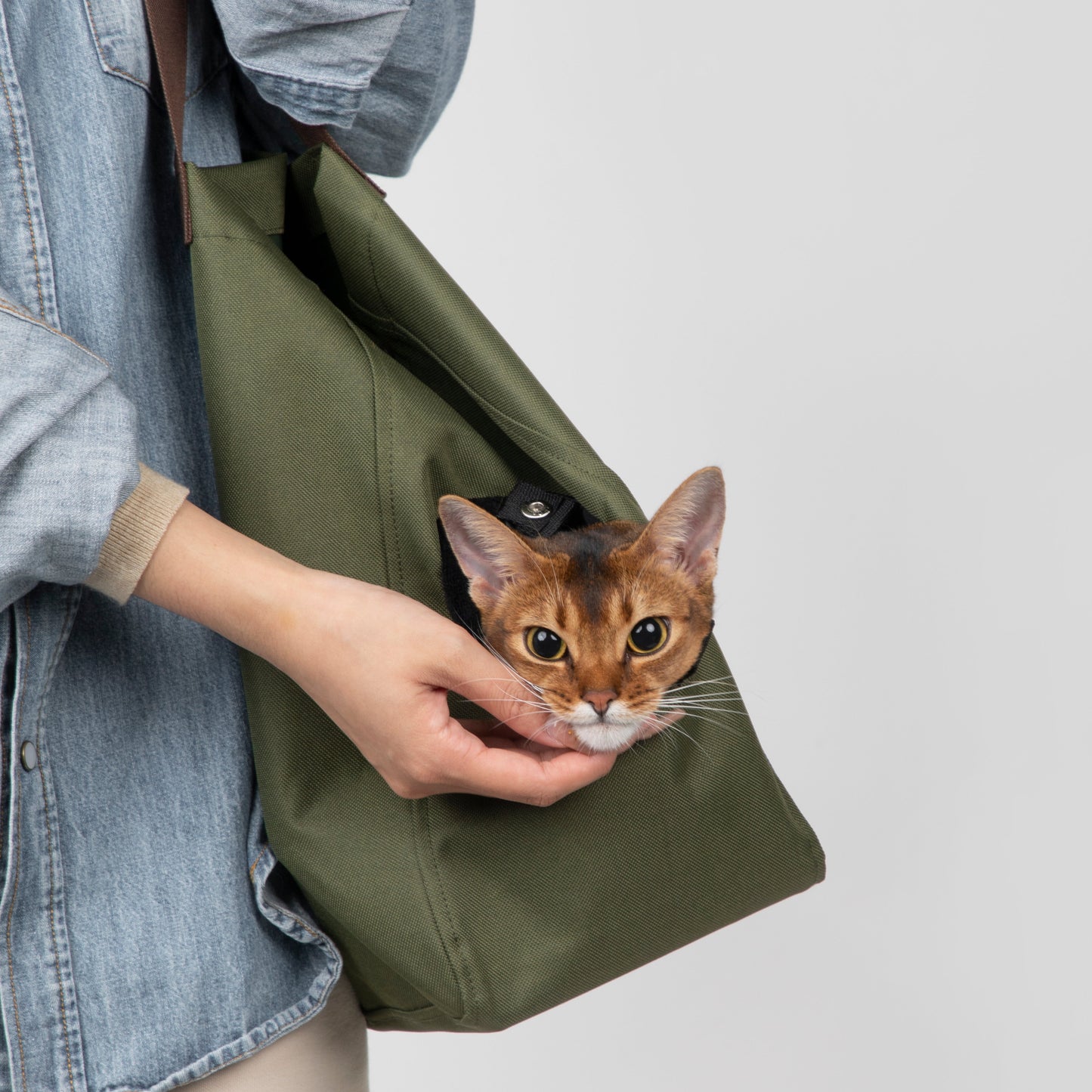 Two-Tone Shoulder Pet Carrier Bag [Matcha Cookie - Pre-Order]