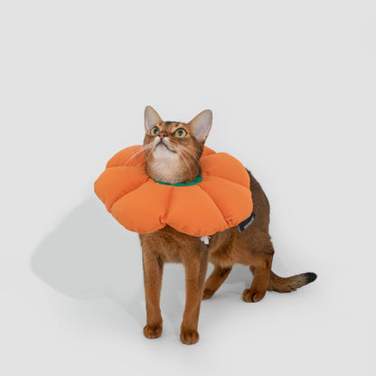 Flower Shaped Elizabethan Rings Dog & Cat Recovery Collar [Pumpkin Orange]