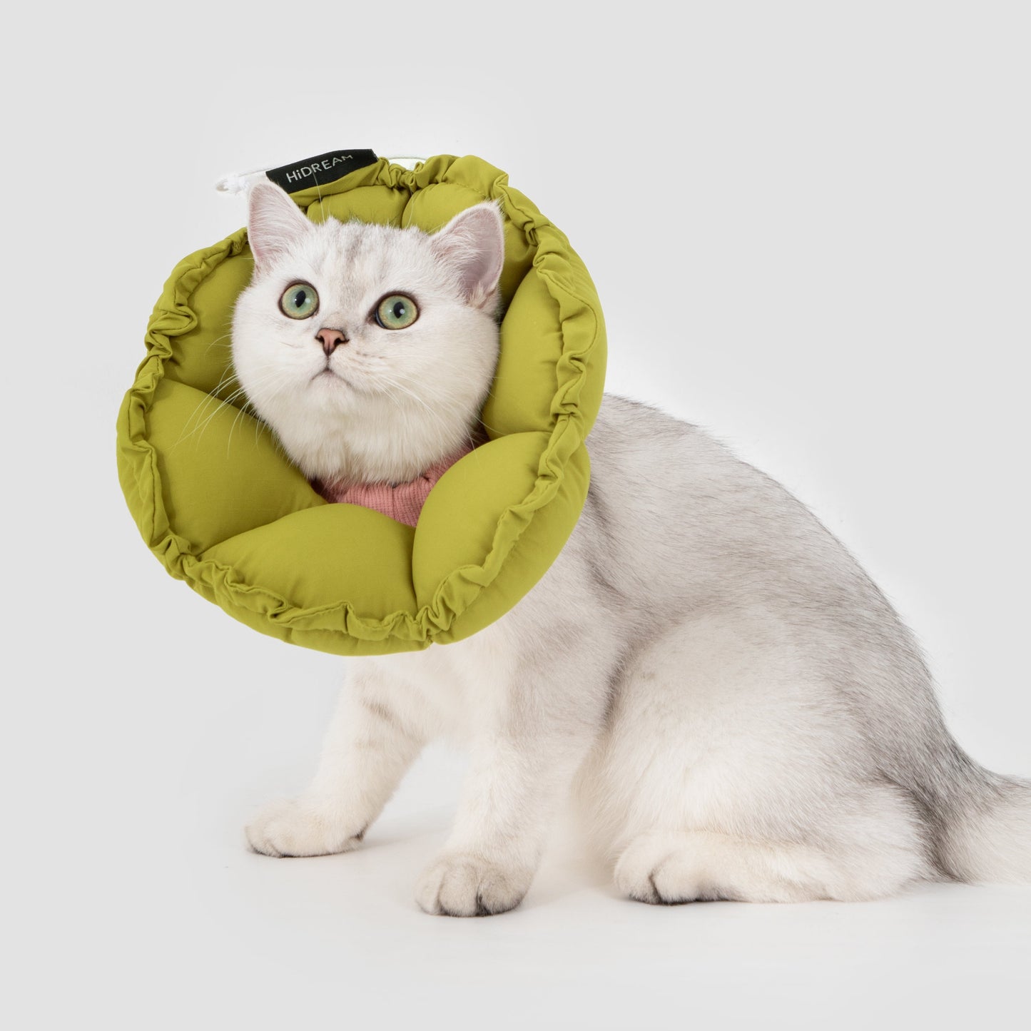 Flower Shaped Elizabeth Collar for Dog & Cat [Roof Pine Green]