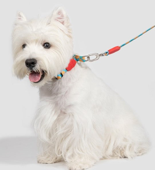 Colorful Pro Series Half P-chain Training Collar [Sunrise]