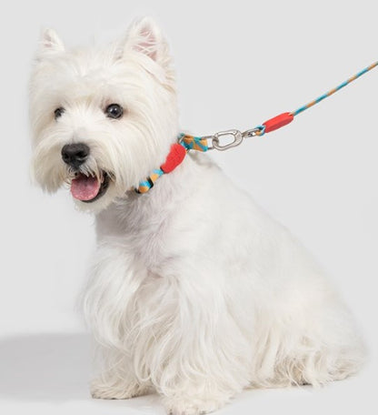 Colorful Pro Series Half P-chain Training Collar [Sunrise]