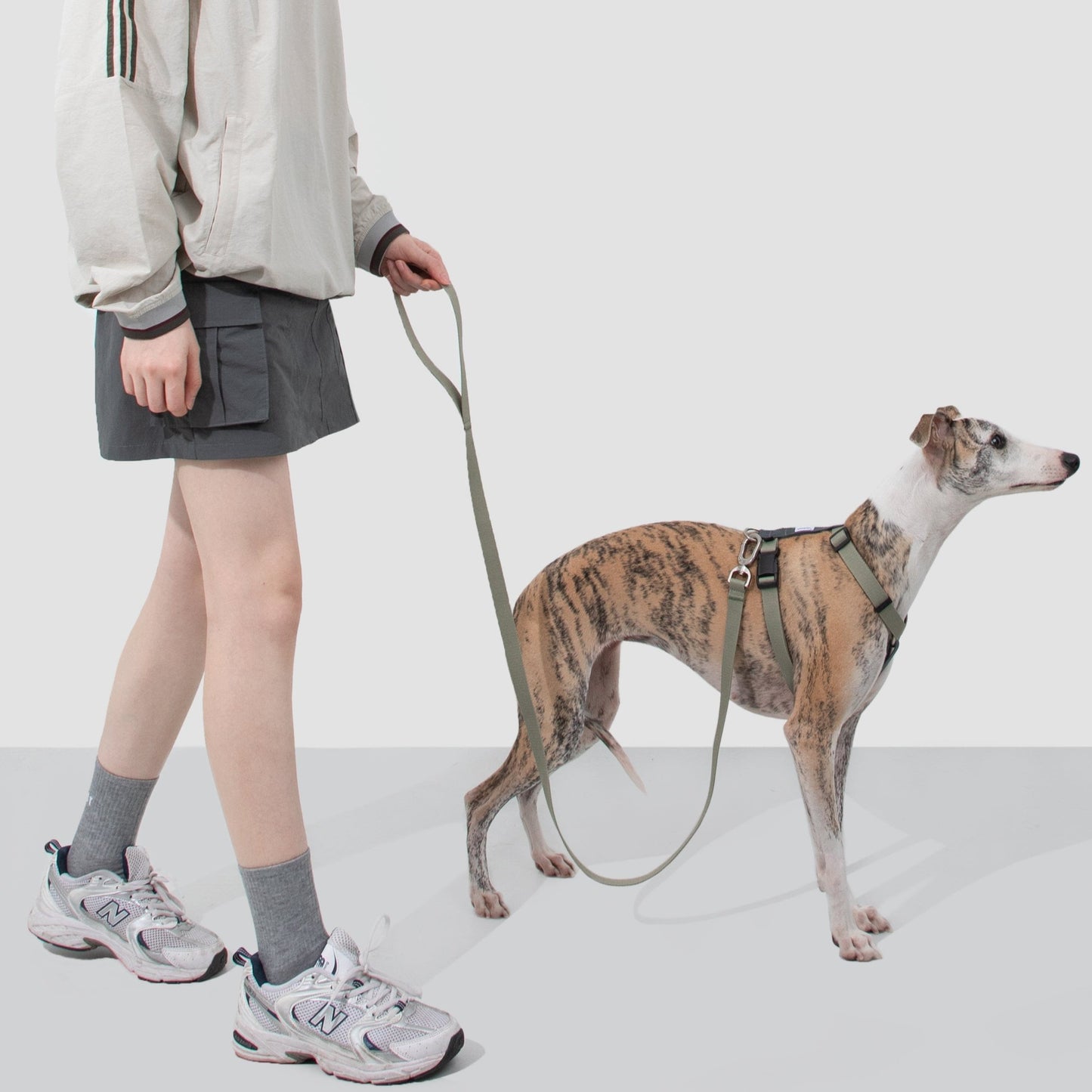 Valley Series Dog H-shaped Harness & Leash Set [Green with Gray]