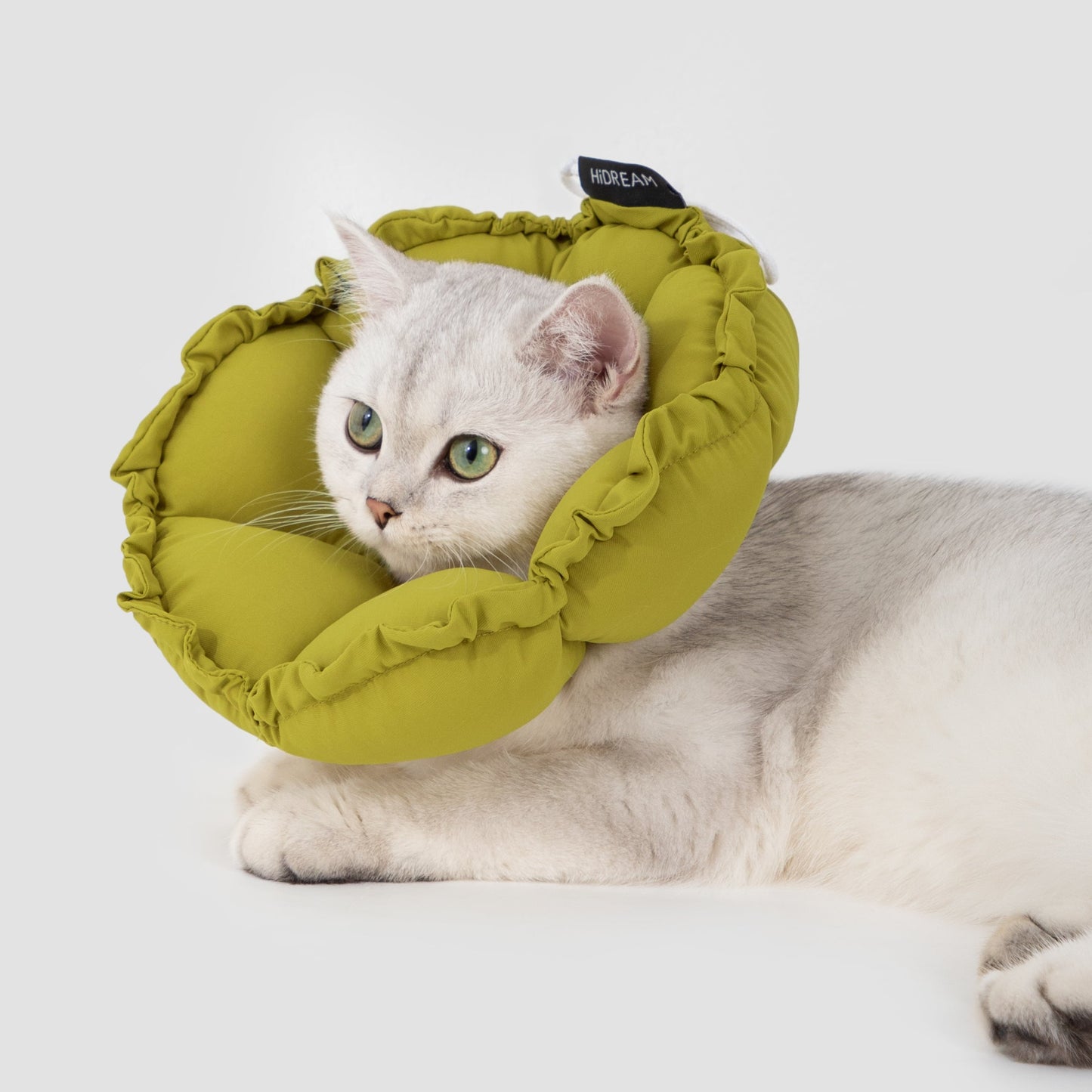 Flower Shaped Elizabeth Collar for Dog & Cat [Roof Pine Green]