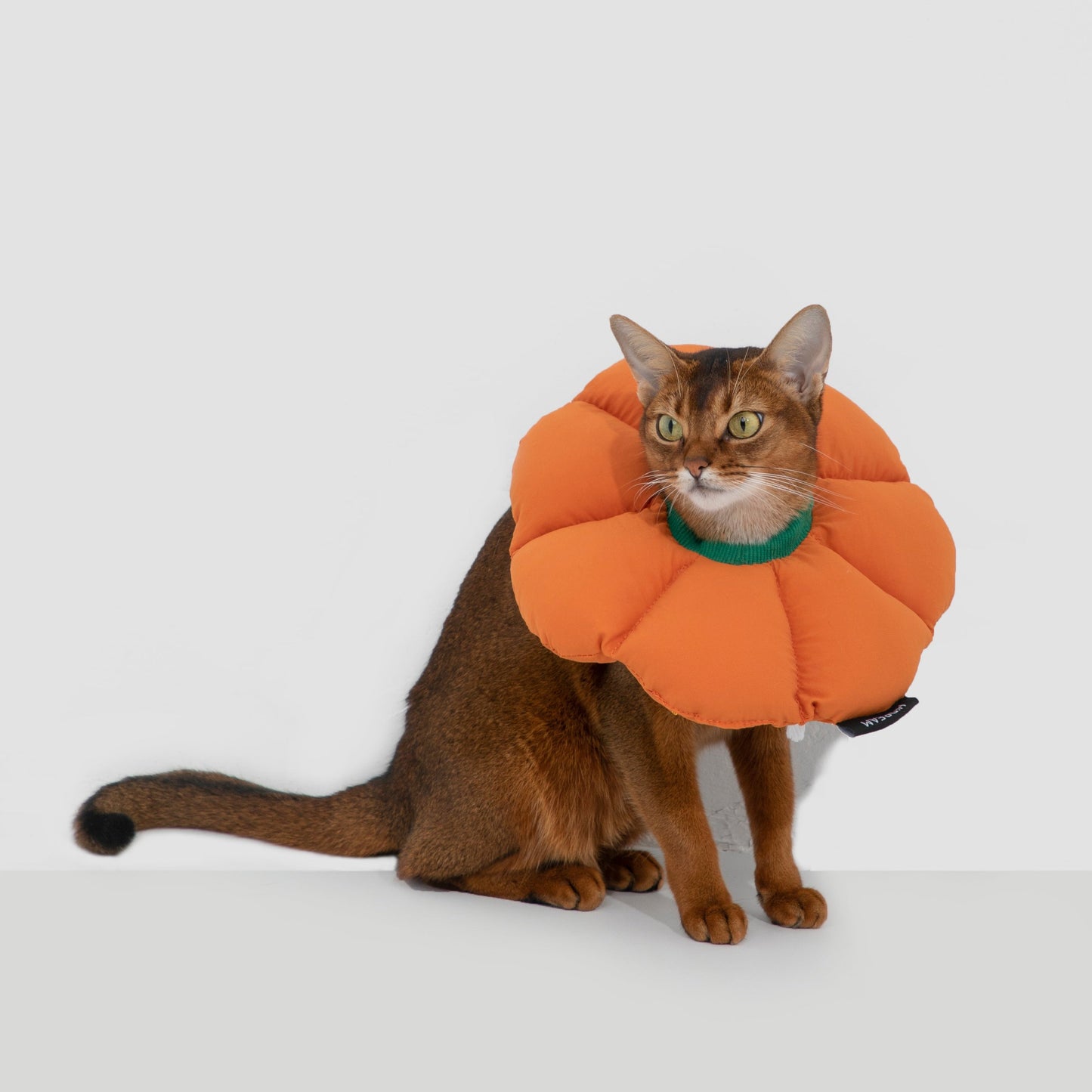 Flower Shaped Elizabethan Rings Dog & Cat Recovery Collar [Pumpkin Orange]