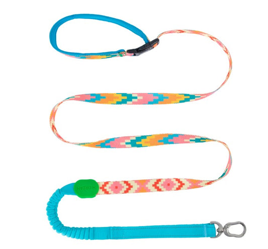 Colorful Pro Series Multipurpose Buffer Dog Leash [Florida]