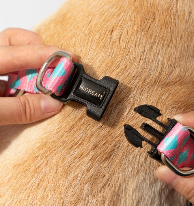 Colorful Series Y-Shaped Harness [Bobby]