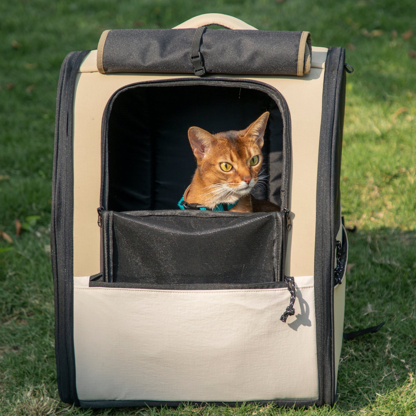 First Class Pet Backpack Carrier [Chestnut Brown - Pre-Order]