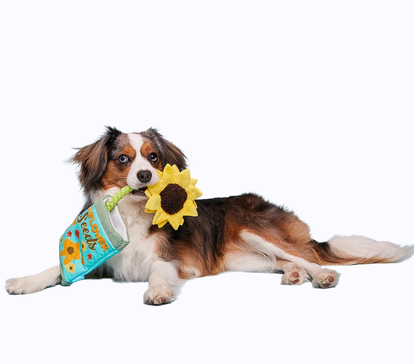 🌻Funflower Seeds Tug Toy