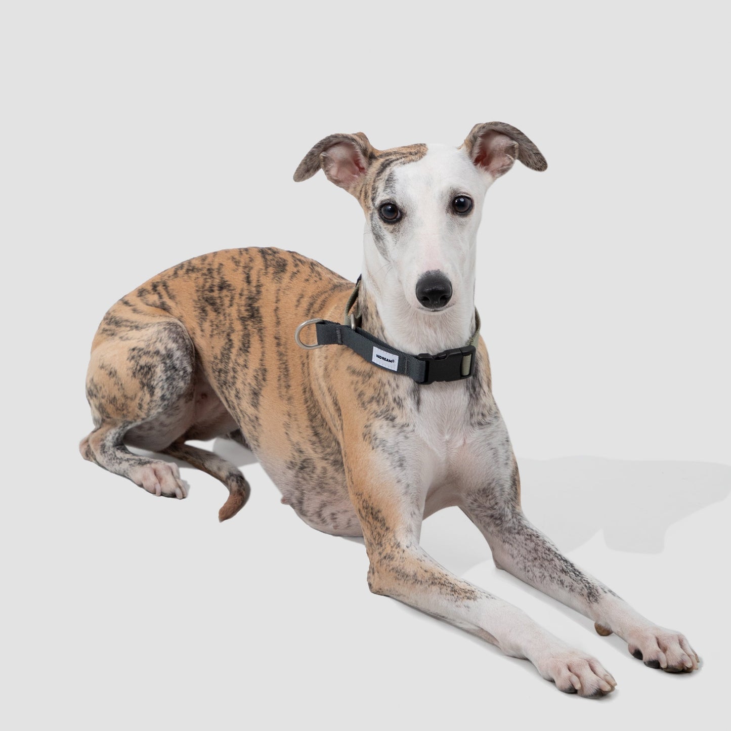 Valley Series Dog Half P-chain Training Collar [Olive Grey]