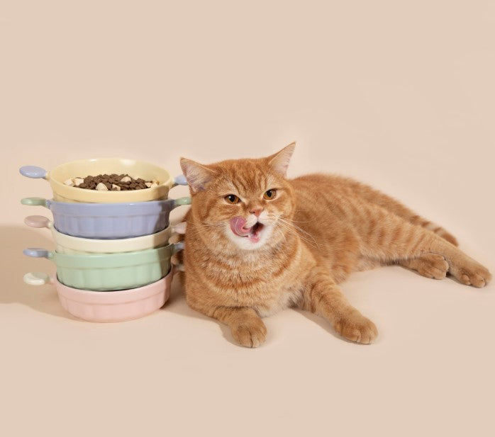 Little Ears Ceramic Pet Bowl [Berry Pink]