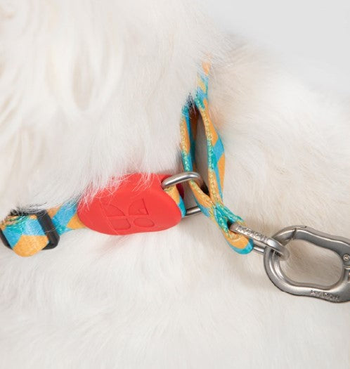 Colorful Pro Series Half P-chain Training Collar [Sunrise]