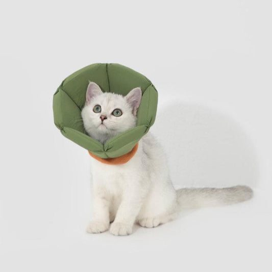Soft Tapered Elizabethan Rings Dog & Cat Recovery Collar [Matcha Green]