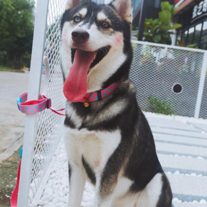 Colorful Series Dog Collar [Bobby]