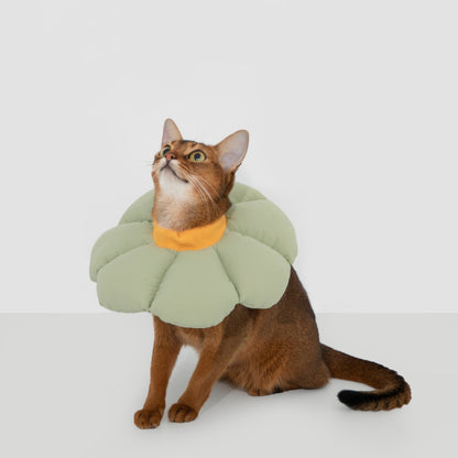Flower Shaped Elizabethan Rings Dog & Cat Recovery Collar [Wasong Green]