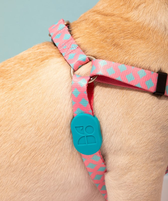 Colorful Series Y-Shaped Harness [Bobby]