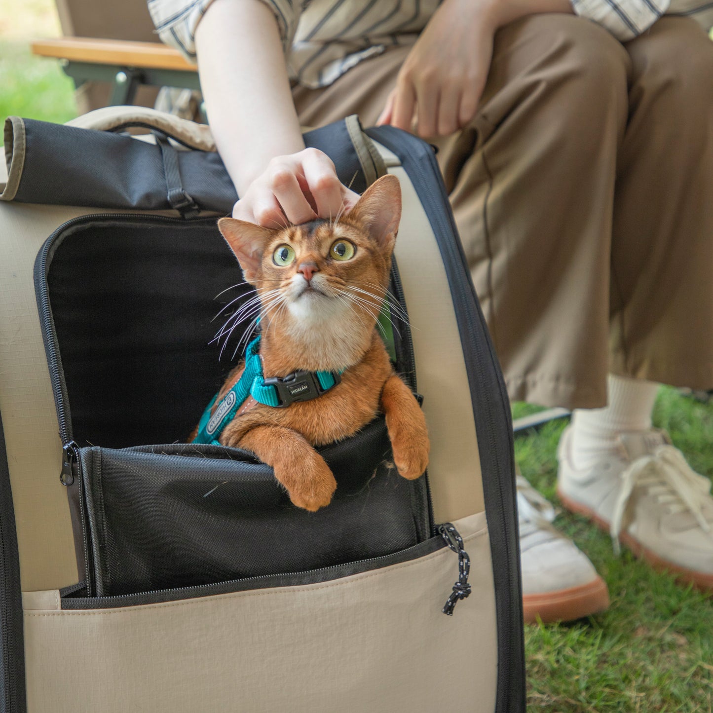 First Class Pet Backpack Carrier [Chestnut Brown - Pre-Order]
