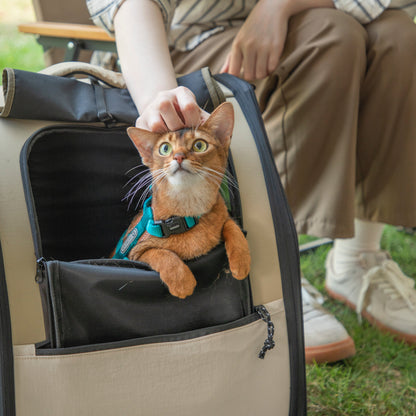 First Class Pet Backpack Carrier [Chestnut Brown - Pre-Order]