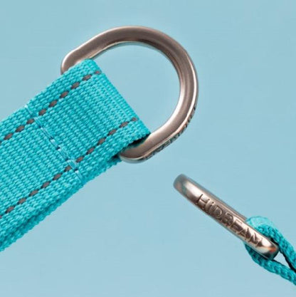 Colorful Pro Series Half P-chain Training Collar [Bobby]