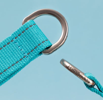 Colorful Pro Series Half P-chain Training Collar [Mountain and River Impressions]