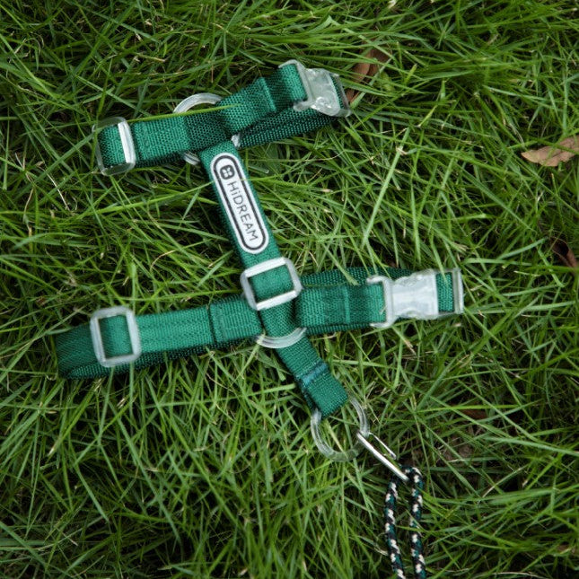 BOBO Series Freedom Exploration Cat H-Shape Harness and Leash Set [Turquoise Green]