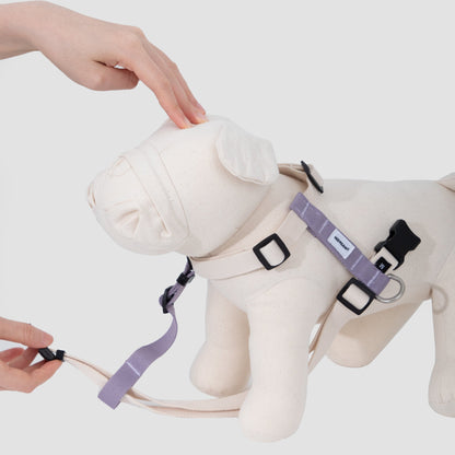 Valley Series Dog H-shaped Harness & Leash Set [Milk Brown with Purple]