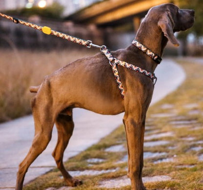 Colorful Series Adjustable Dog Leash [Totem]