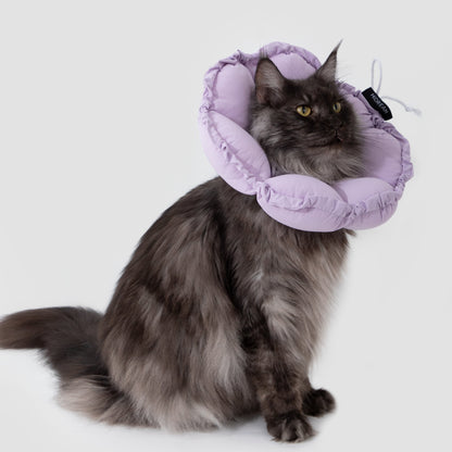 Flower Shaped Elizabeth Collar for Dog & Cat [Wisteria Purple]