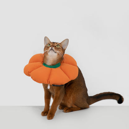 Flower Shaped Elizabethan Rings Dog & Cat Recovery Collar [Pumpkin Orange]