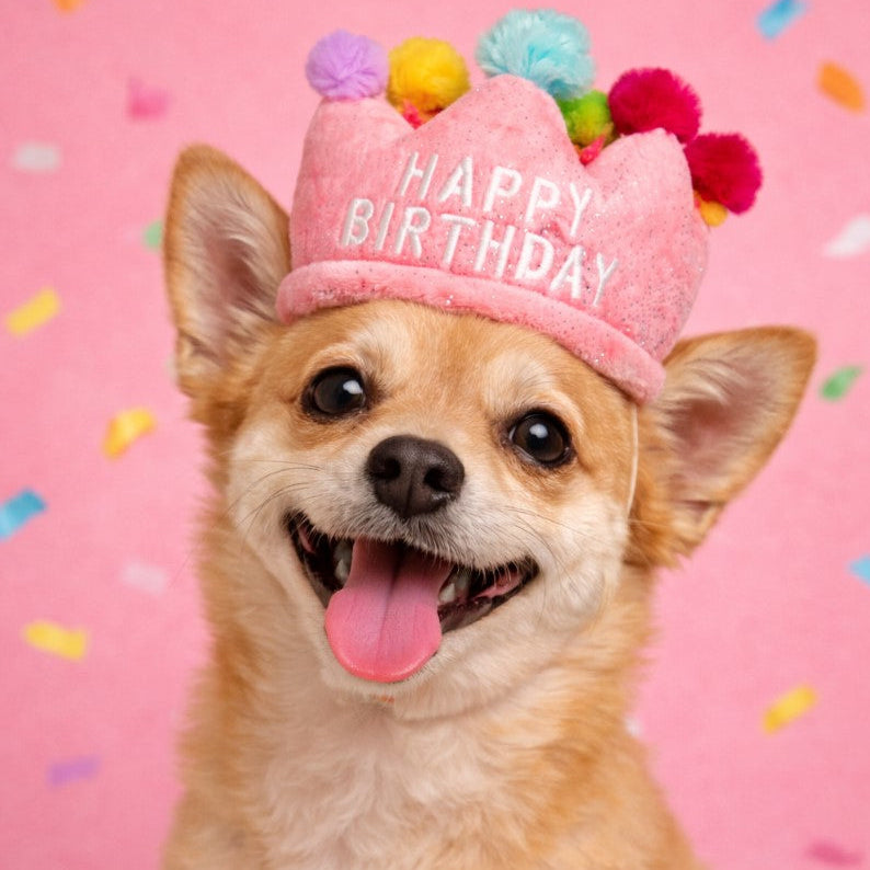 👑Crown Fits Barkday Hat Plush Dog Toy [Pink]