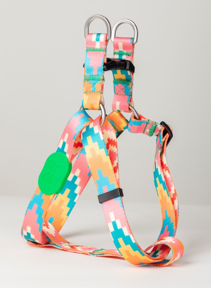 Colorful Series Y-Shaped Harness [Florida]