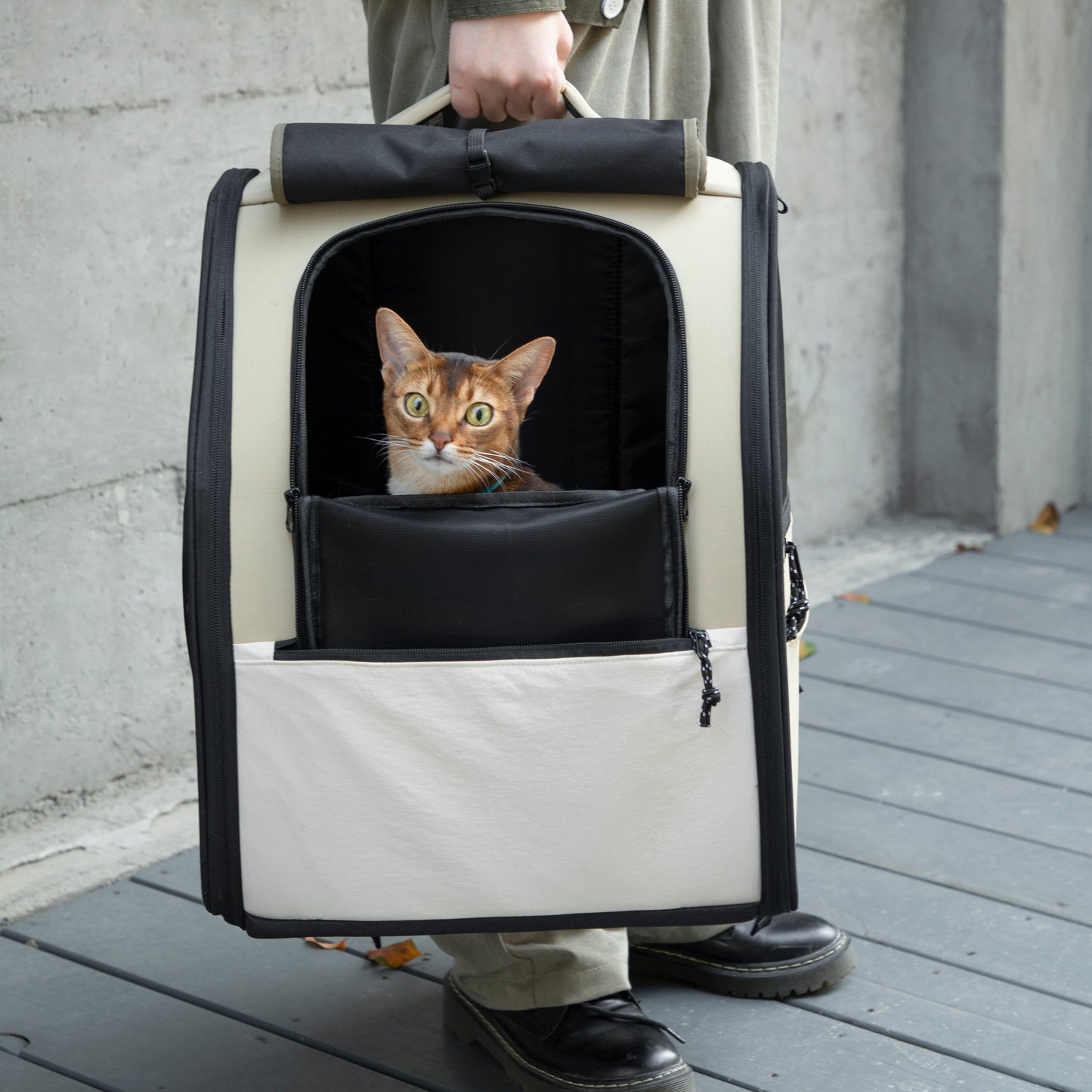 First Class Pet Backpack Carrier [Chestnut Brown - Pre-Order]