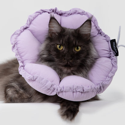 Flower Shaped Elizabeth Collar for Dog & Cat [Wisteria Purple]