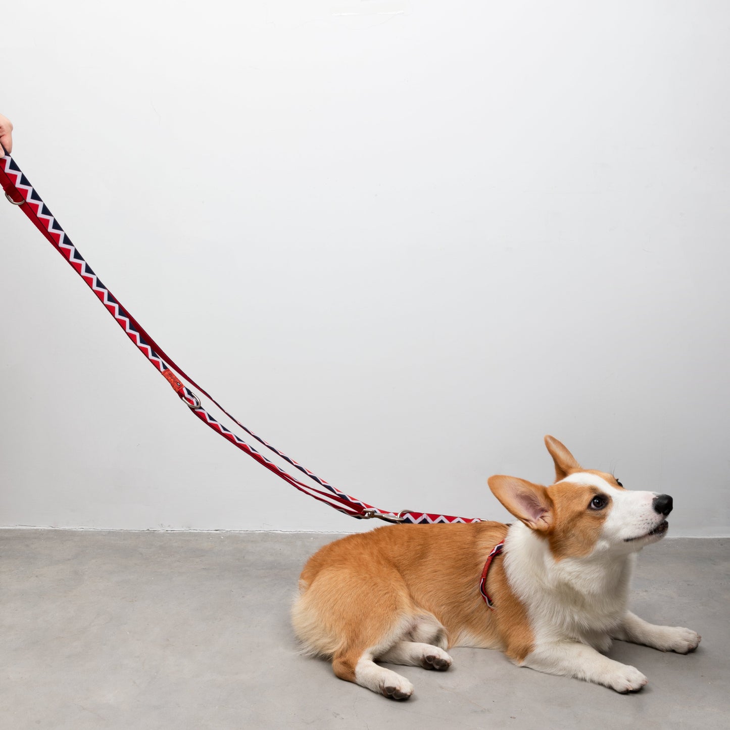 Rainbow Series Hands-Free Multi-Functional Dog Leash [Red]