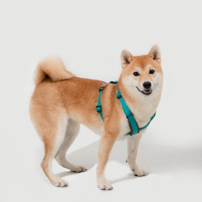 BOBO Series Leather X-shape Dog Harness [Aden Green]