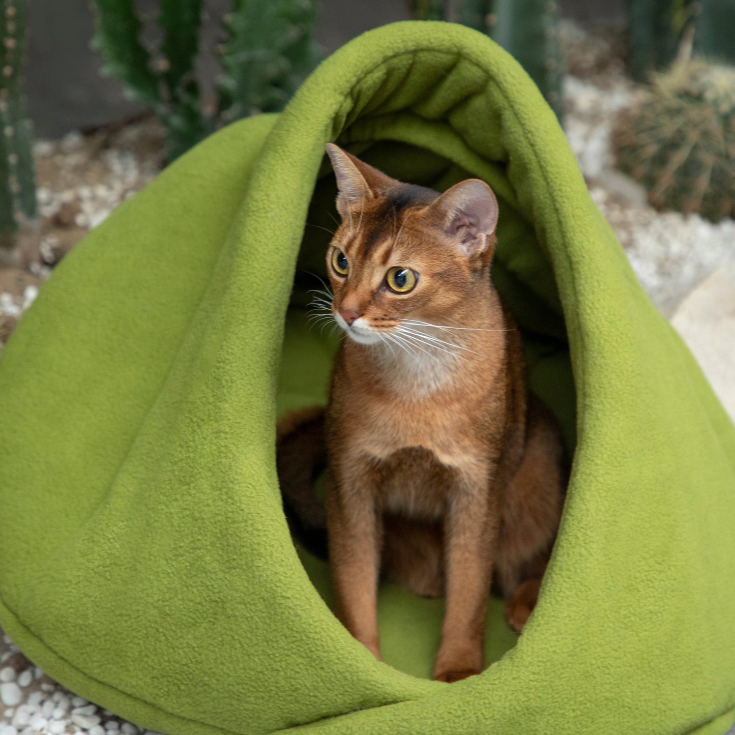 Polar Fleece Semi-Enclosed Pet Bed [Charcoal Bagel & Matcha Scone]