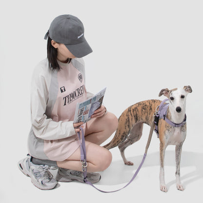 Valley Series Quick Fit No-Pull Dog Harness [Hibiscus Purple]