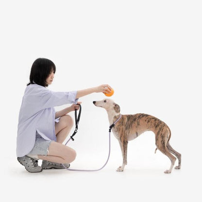 BOBO Series Leather Handle Integrated One Piece Dog Training P Rope [Bellflower Purple]