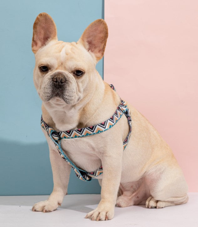 Colorful Series Y-Shaped Harness [Totem]