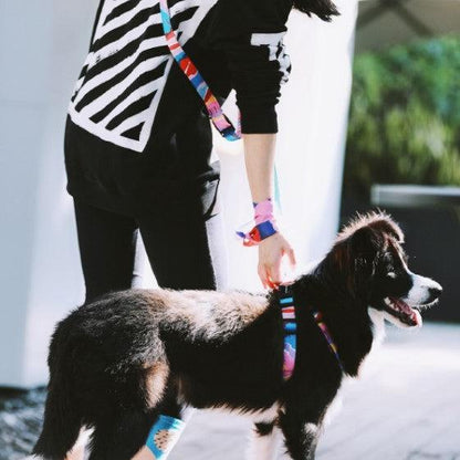 Colorful Pro Series Multipurpose Buffer Dog Leash [Mountain and River Impressions]