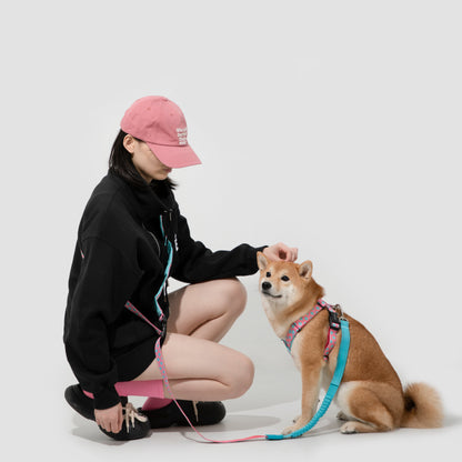 Colorful PRO Series X Harness [Bobby]