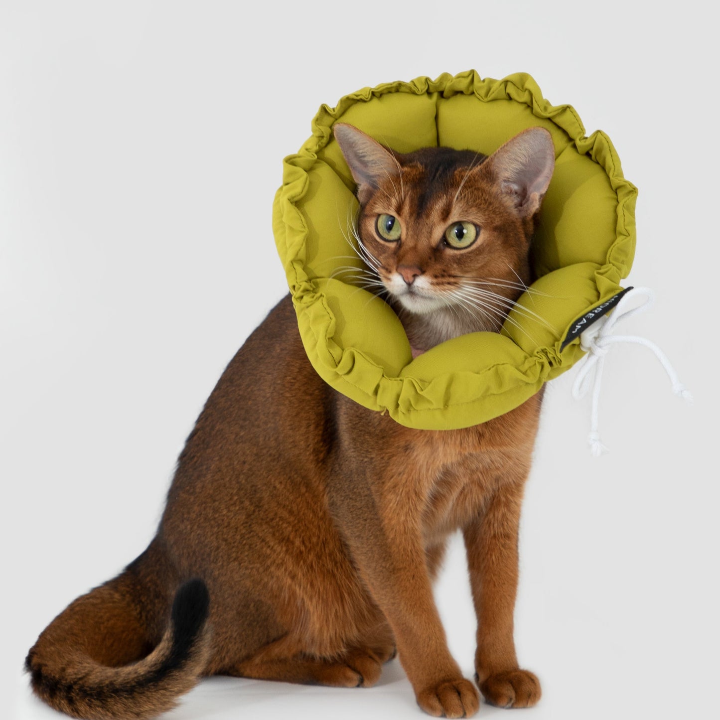 Flower Shaped Elizabeth Collar for Dog & Cat [Roof Pine Green]
