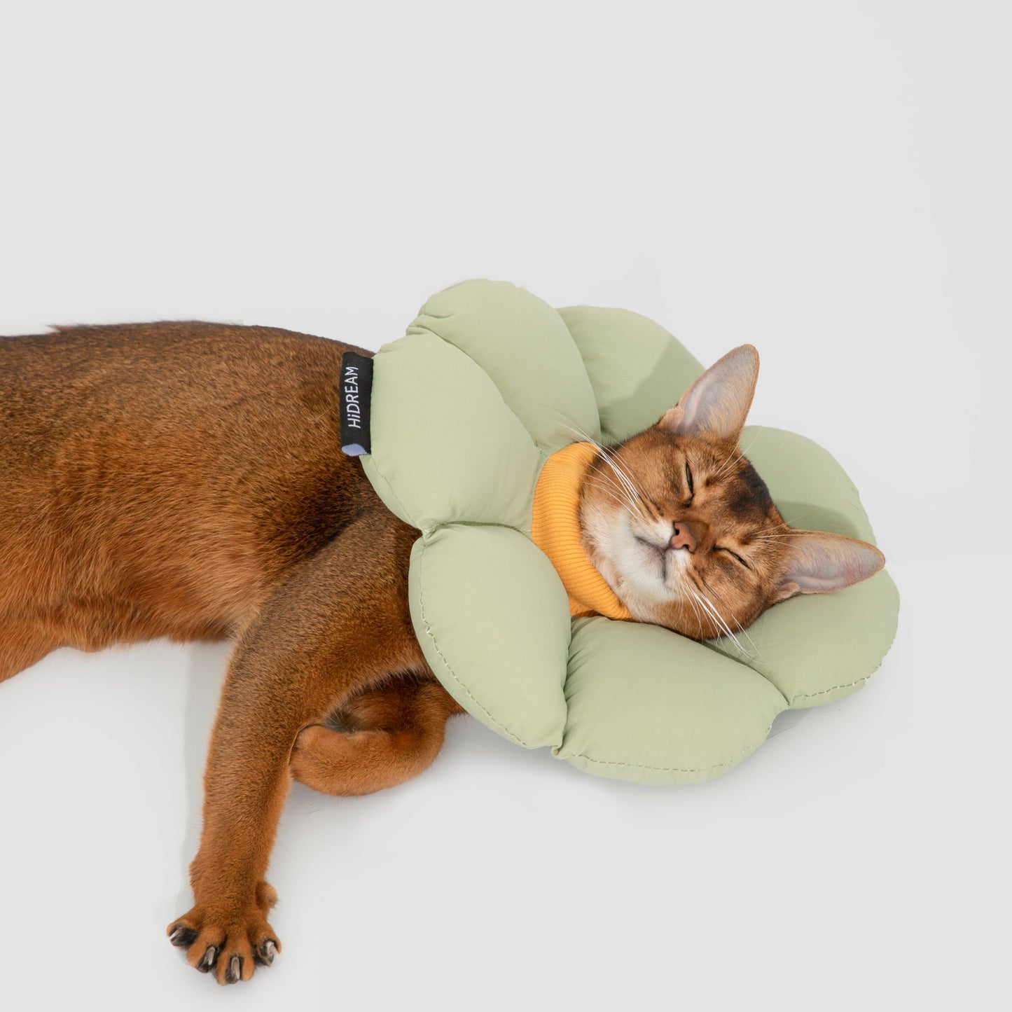 Flower Shaped Elizabethan Rings Dog & Cat Recovery Collar [Wasong Green]
