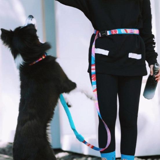 Colorful Pro Series Multipurpose Buffer Dog Leash [Mountain and River Impressions]