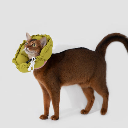 Flower Shaped Elizabeth Collar for Dog & Cat [Roof Pine Green]