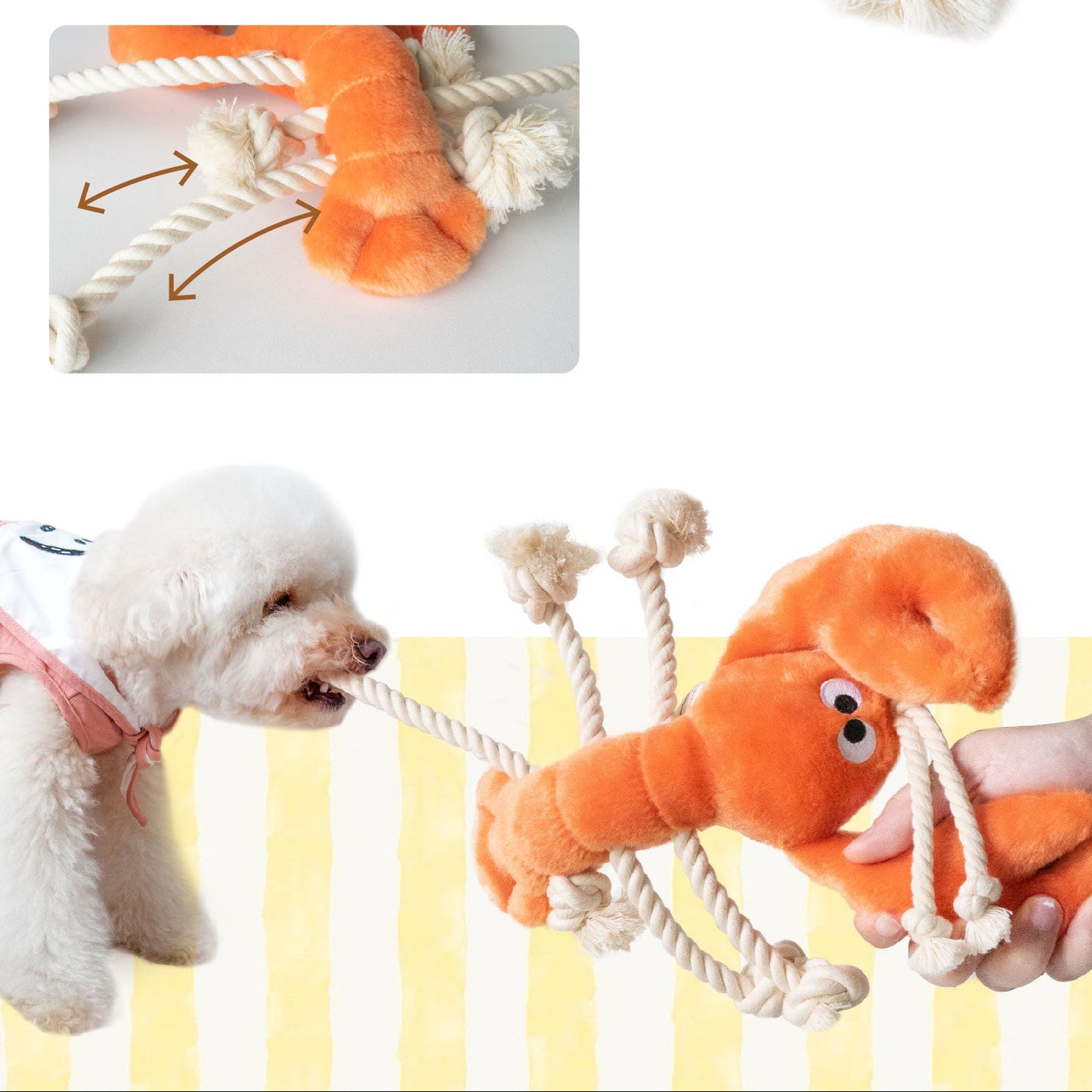 🦞 Seafood Platter Enrichment Gift Set