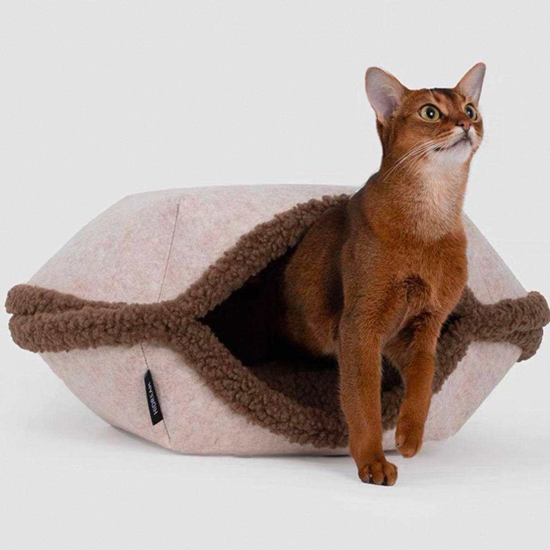 Multi-Functional Tart Cat Bed [Brown]